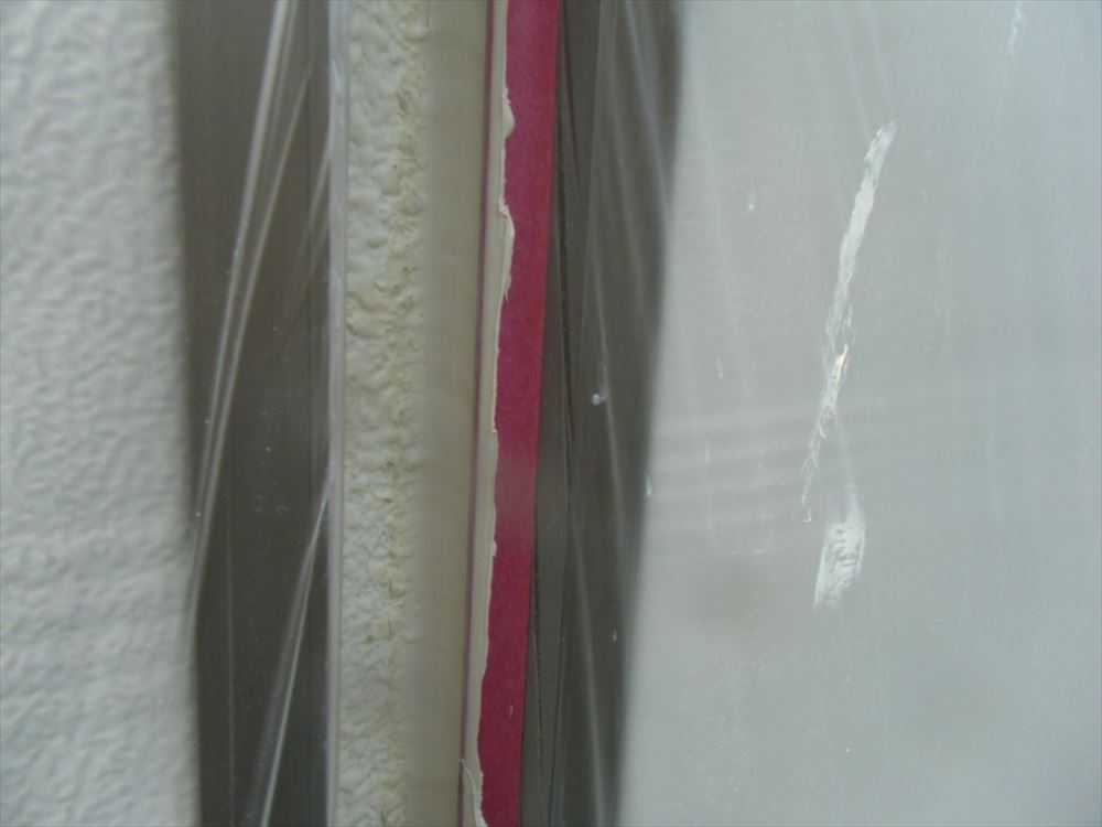 DSCF6605