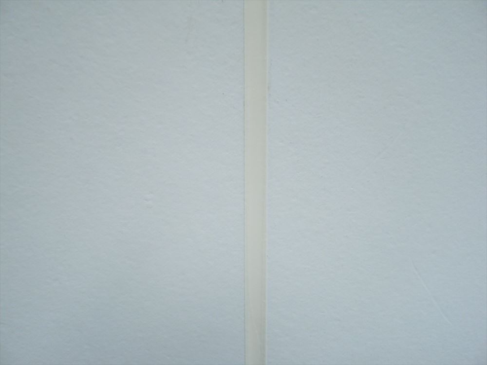 DSCF6846