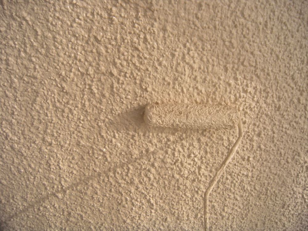 DSCN2195