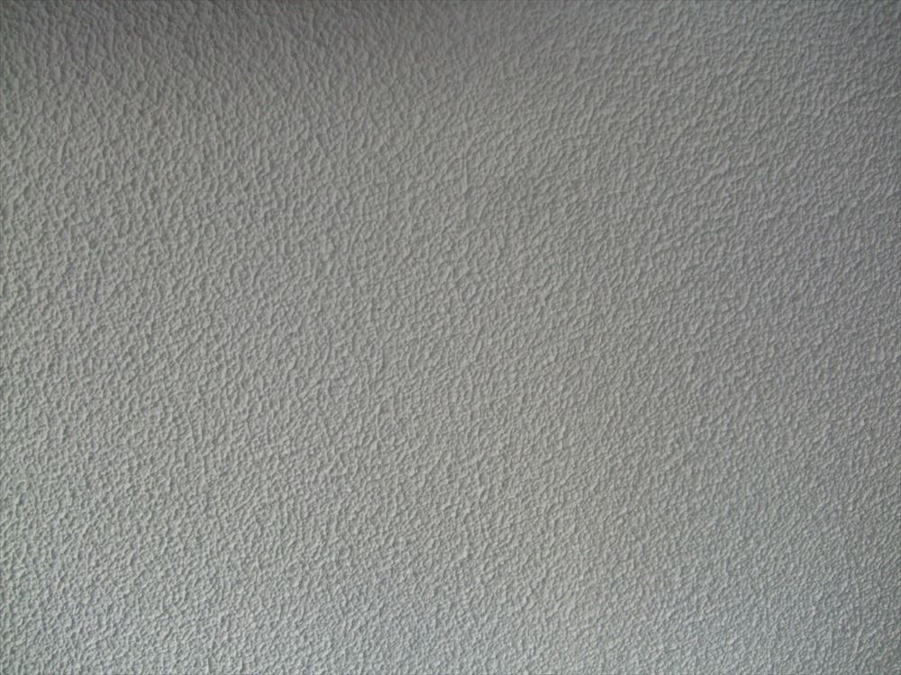 DSCF9848